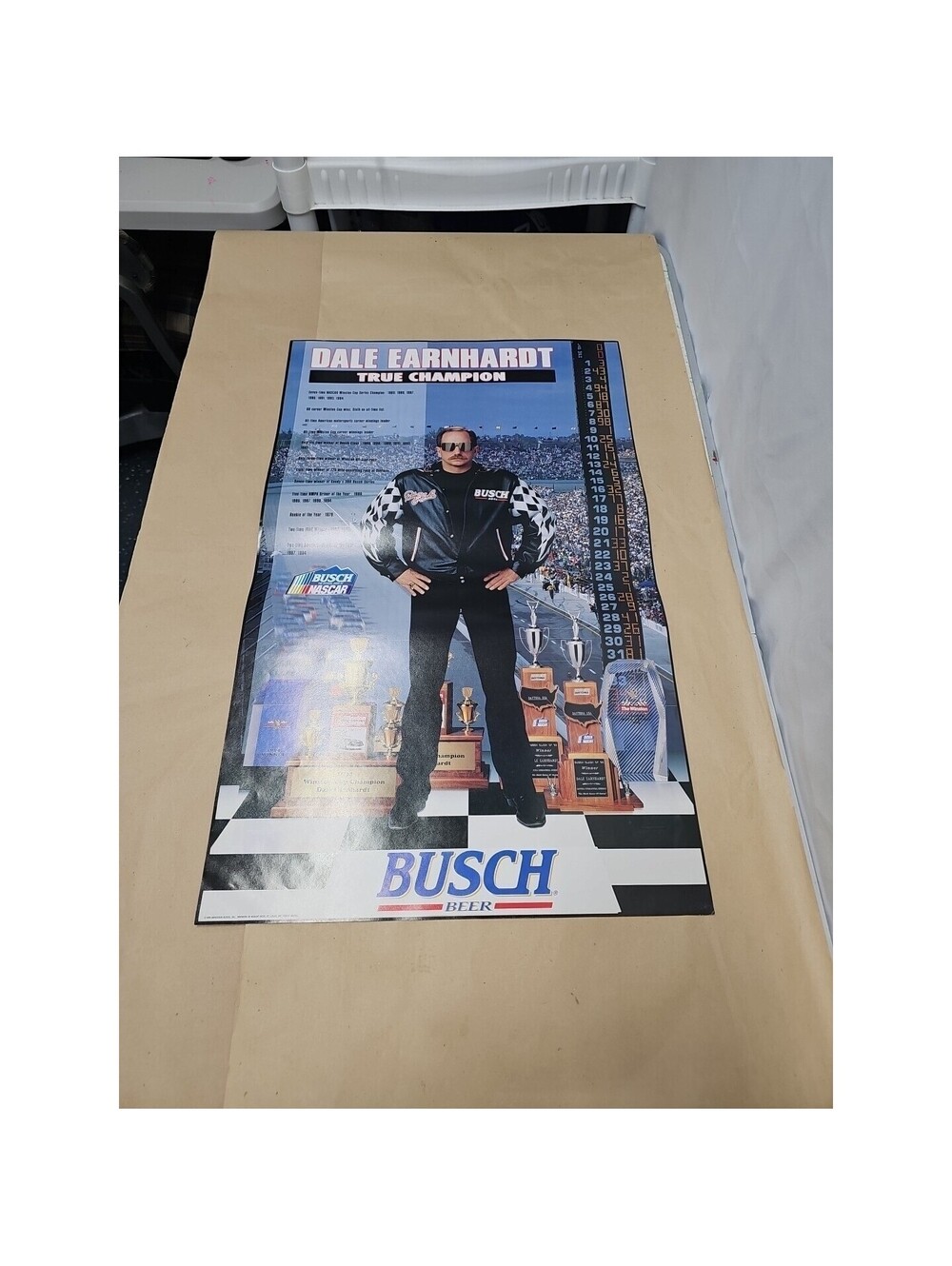 1996 Dale Earnhardt True Champion NASCAR Racing Busch Beer Poster 25 x 16